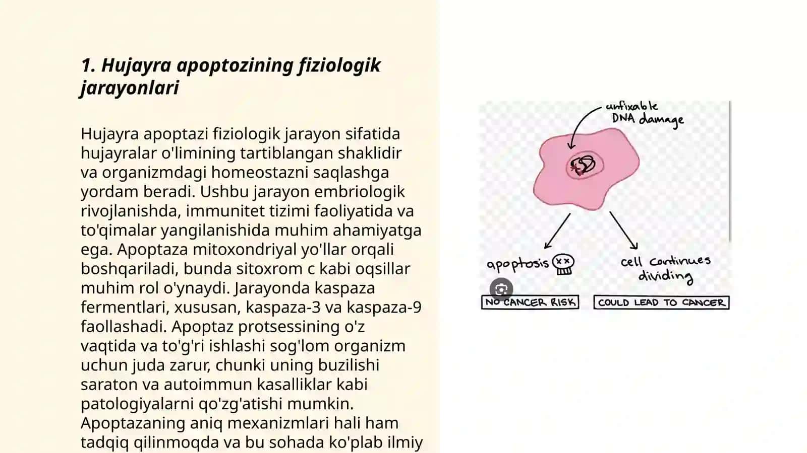 Hujayra appoptozi va uning biologik axamiyati 3