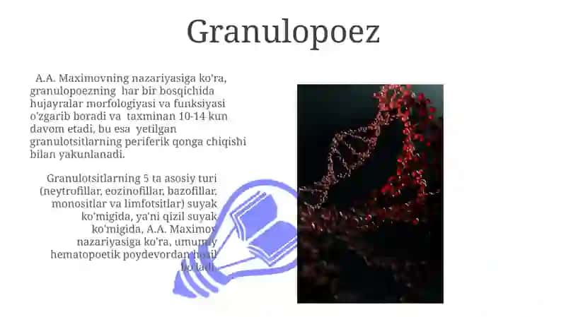 Gematopoez nazariyasi 3