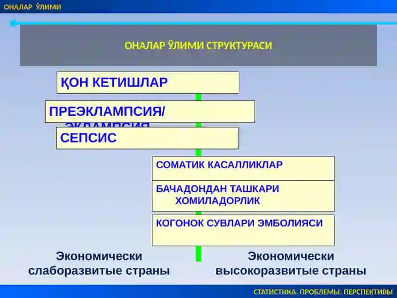Чилладаврисептикасоратлари 3