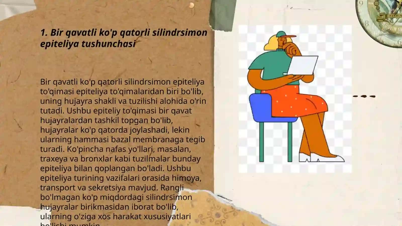 Bir qavatli ko'p qatorli silindirsimon kiprikli epitelya Beraman metoditdan foydalanib nematodlarni ajratib olish 3