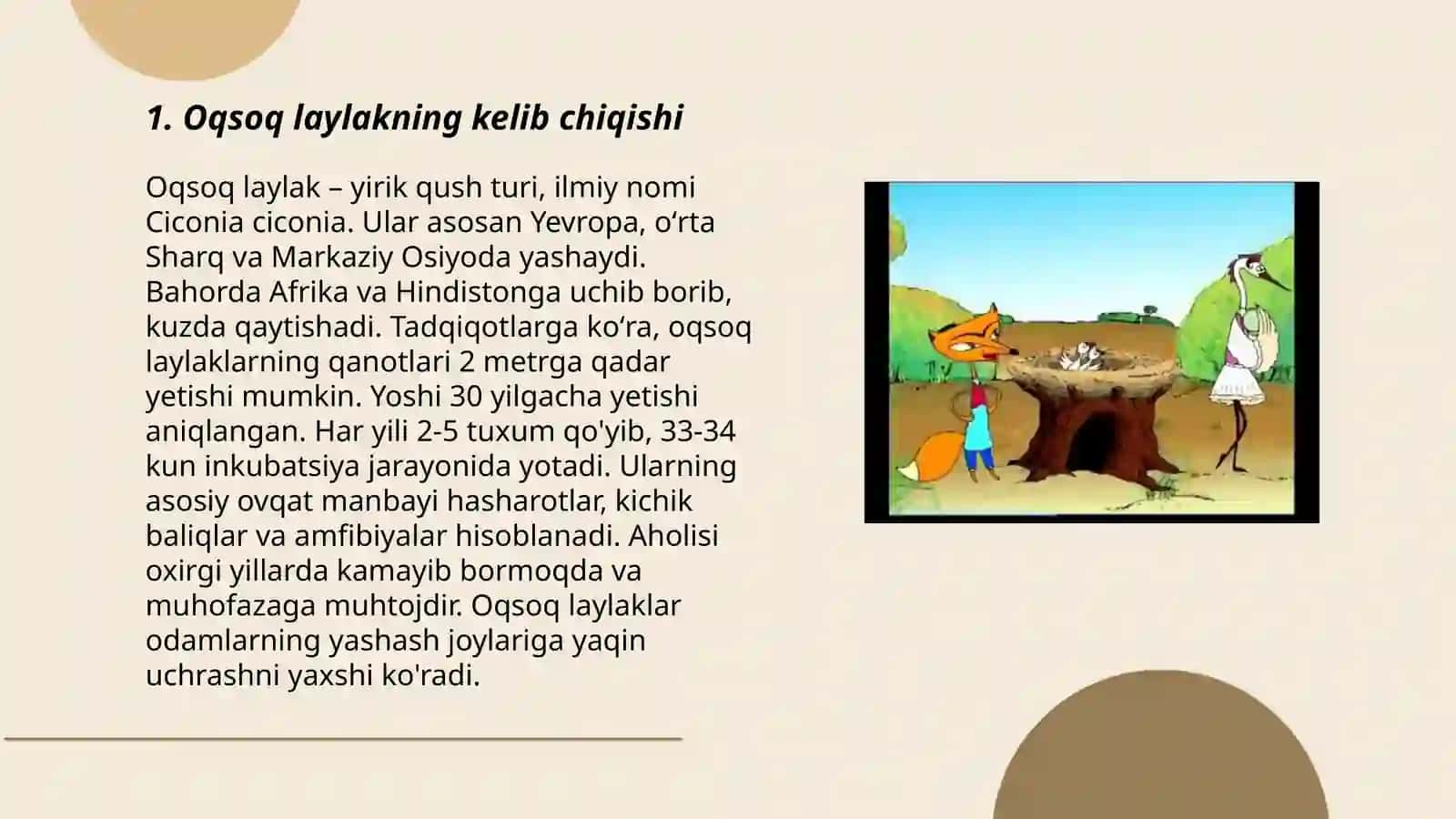 Oqsoq laylak esrati 3