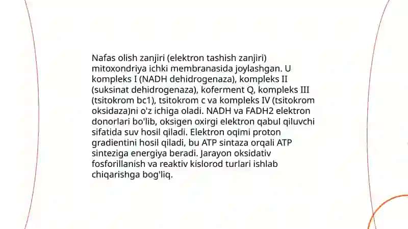 Nafas olish zanjiri 3