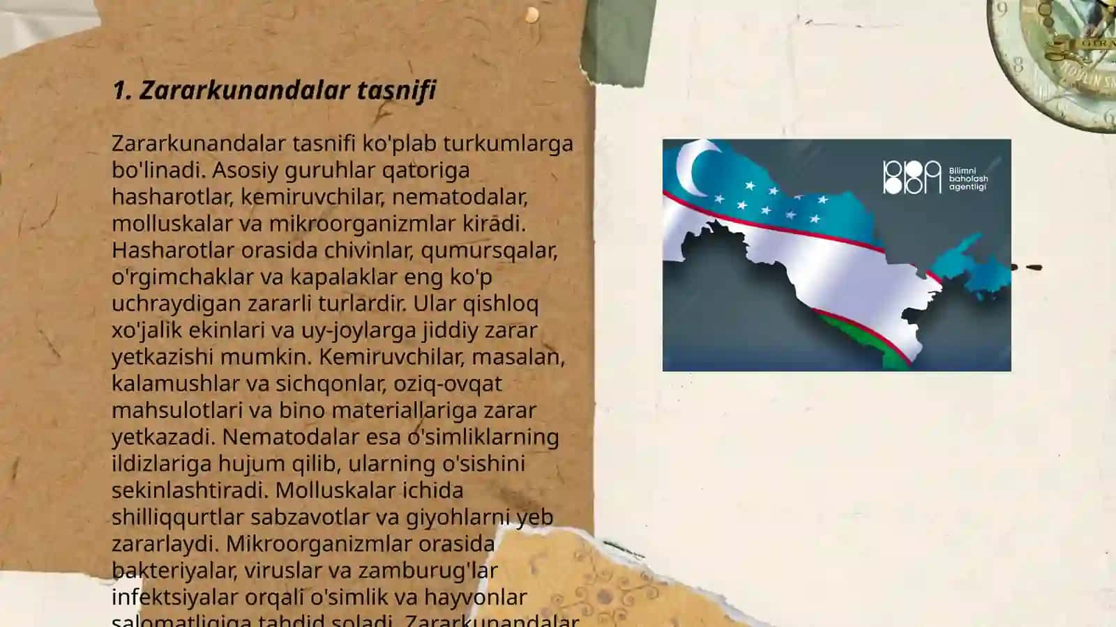 Zararkunandalar morfologiyasi bilan tanishish 3