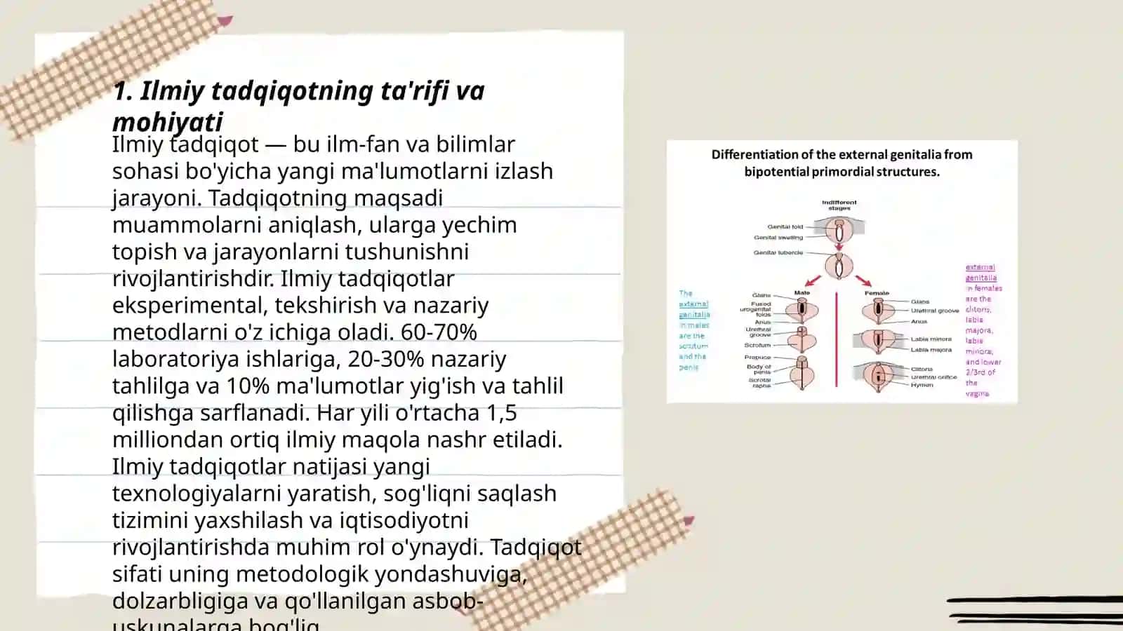 Ilmiy Tadqiqot Haqida Asosiy Tushuncha, Rivojlanish Tarixi va Uning Vazifalari 3
