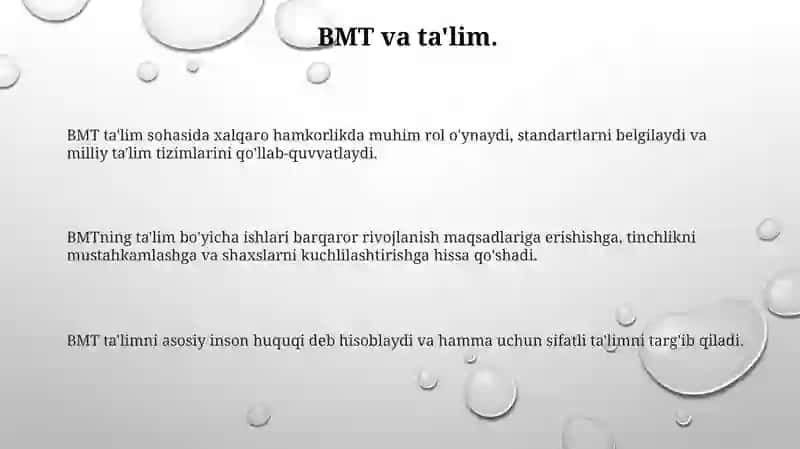 ZAMONAVIY XALQARO MUNOSABATLAR OʻRNIDA BMTNING OʻRNI 3