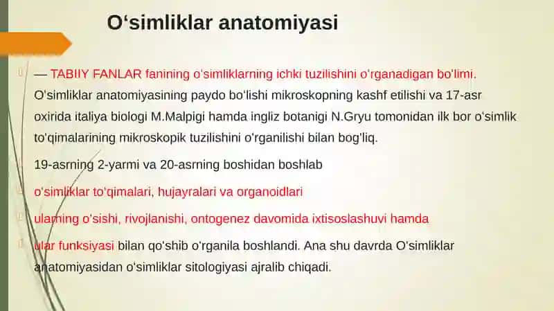 O‘simliklar anatomiyasi va fiziologiyasi 3