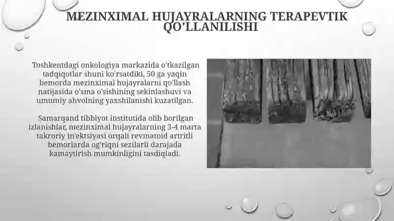 Mezinximaning tuzilishi va ahamiyati 3
