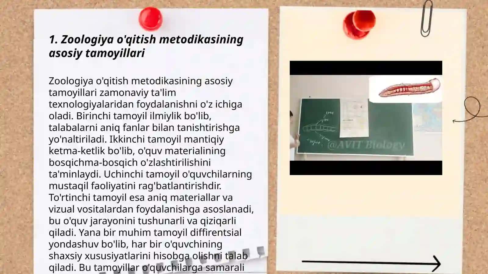 Zoologiya o’qitish metodikasi 3