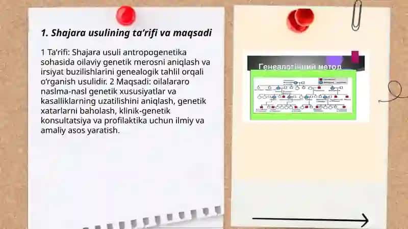 Antropogenetika usullari: shajara usuli 3