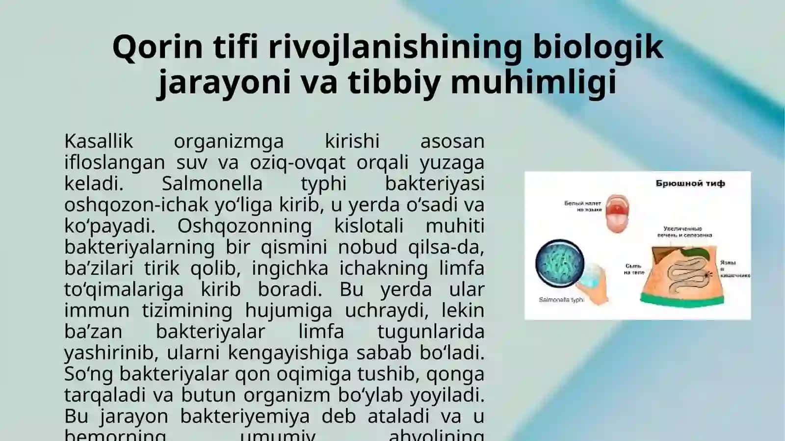Qorintifi 3