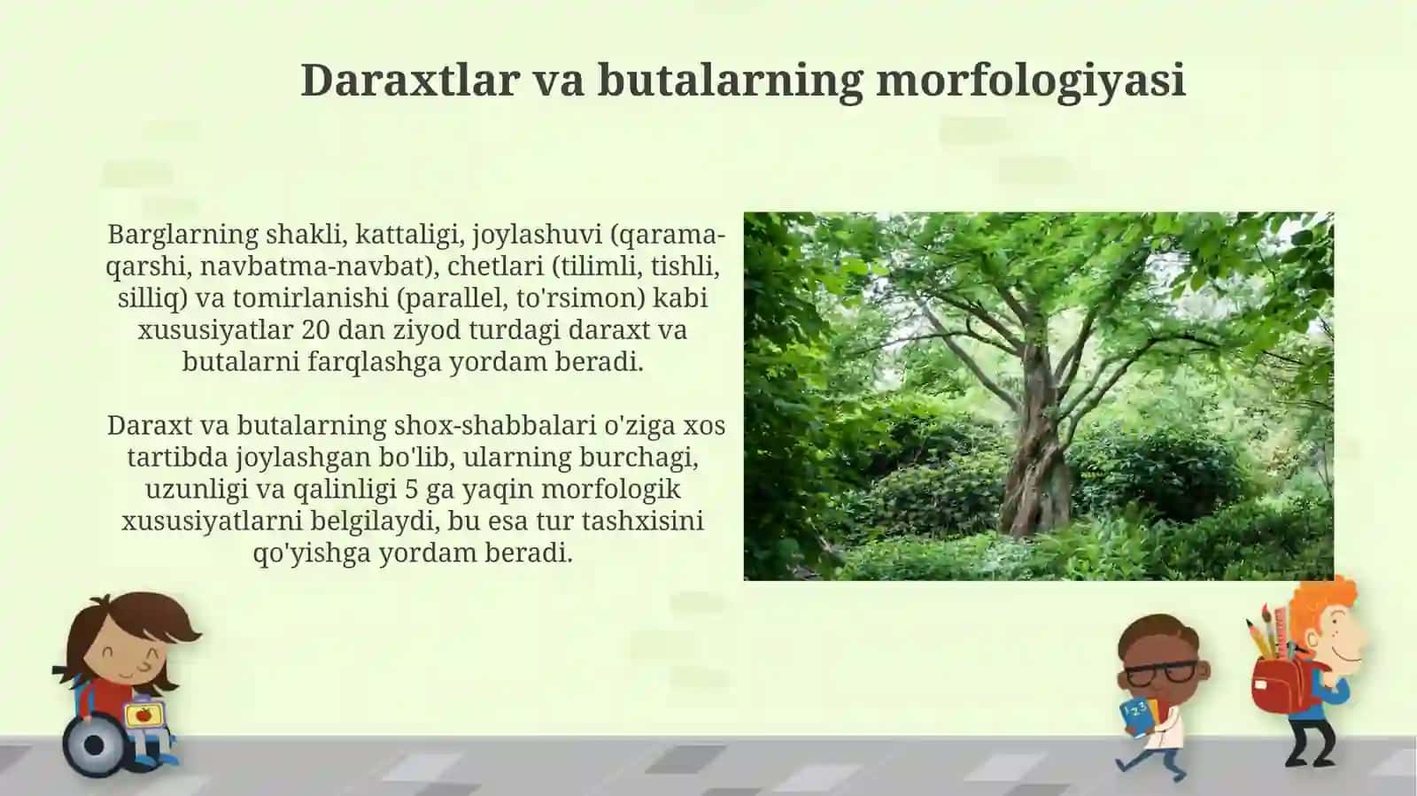 Inrtadutsent dorivor daraxt va butalarni oʻrganish 3