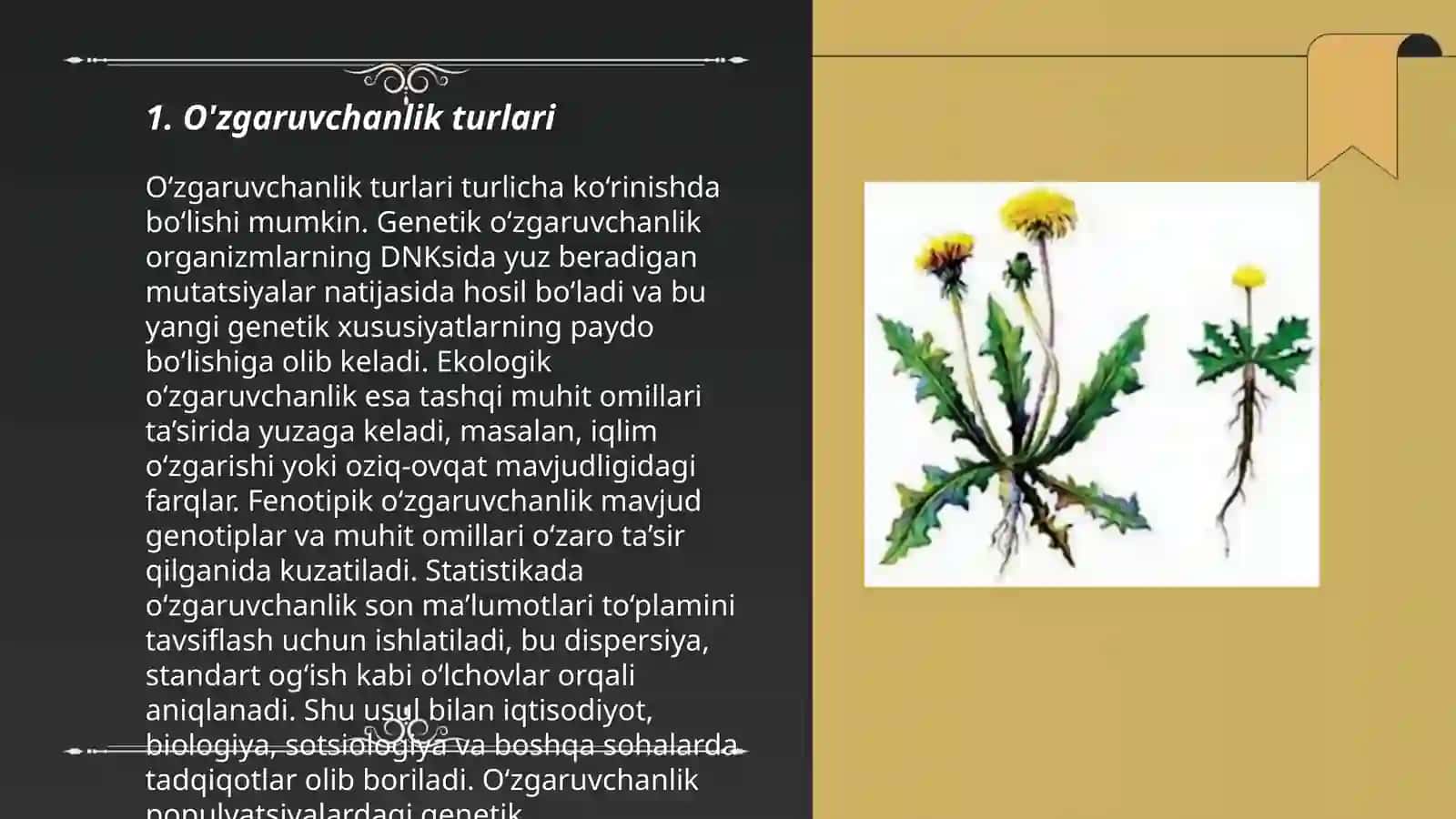 O'zgaruvchanlik:xillari va tibbiyotdagi o'rni 3