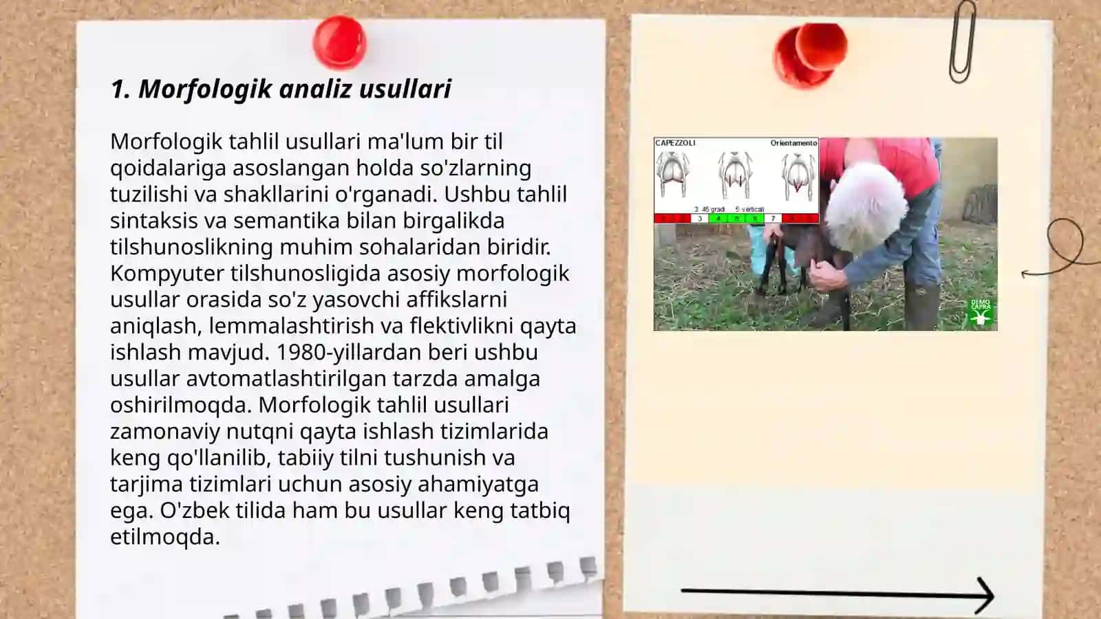 Morfalogik malumotlar bazasni yaratish 3