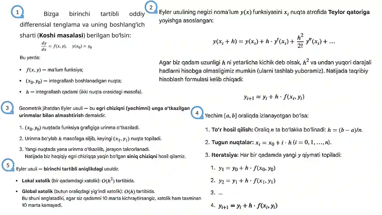 Boshlang'ich shartli, oddiy differensial tenglamalarni yechishning Eyler usuli uchun dastur ta'minotini yaratish 3