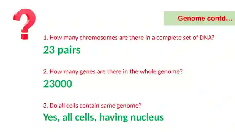 GeneticTerms 3