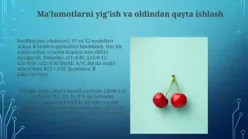 Ikki kirishli va ikki chiqishli chiziqli statik obyektning koeffitsiyentlarini topish 3