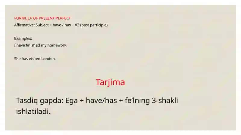Present Perfect Tense 3