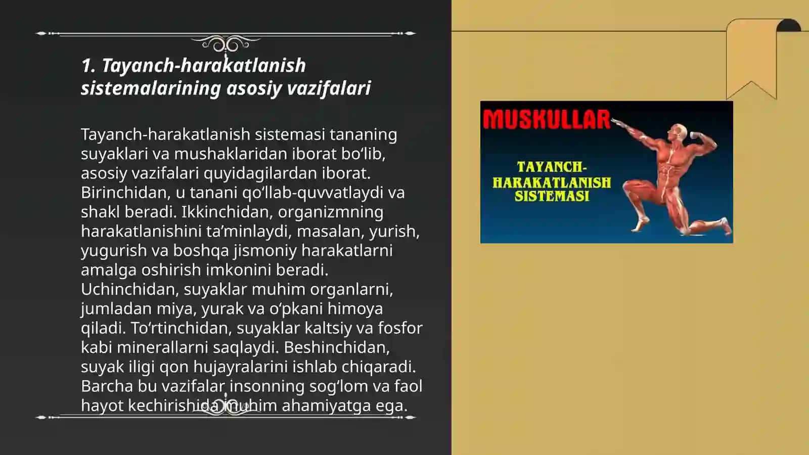 Tayanch harakatlanish sistemalarining tuzilishi 3