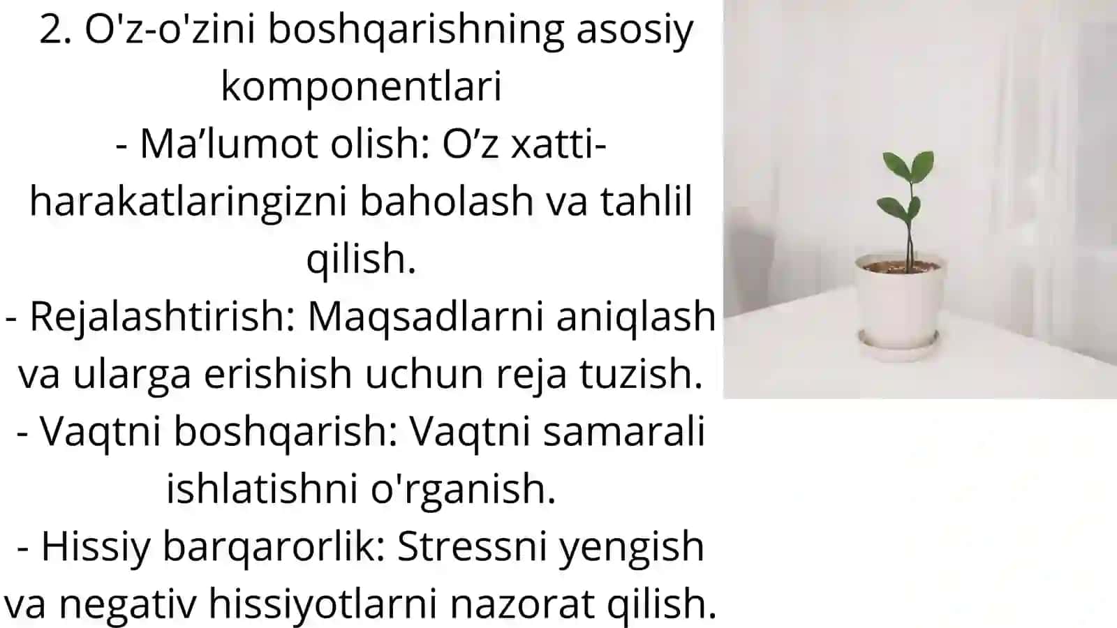 Akademik ko'nikmalarni shakllantirishda o'z-o'zini boshqarish va samaradorlik 3