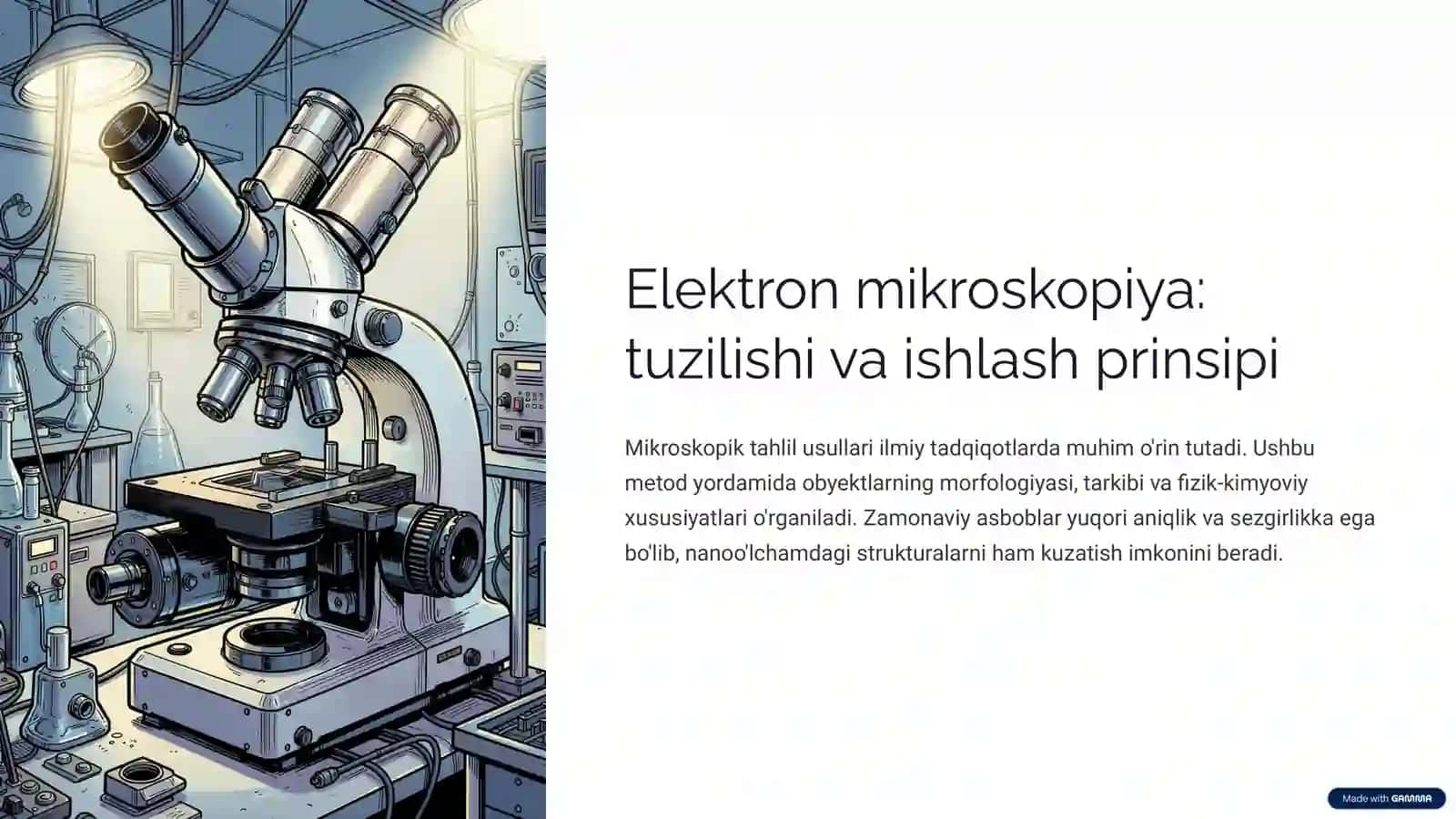 Elektron mikroskopiya 3