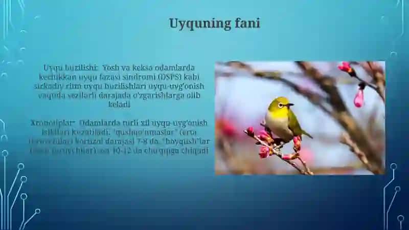 Uyquning fani 3