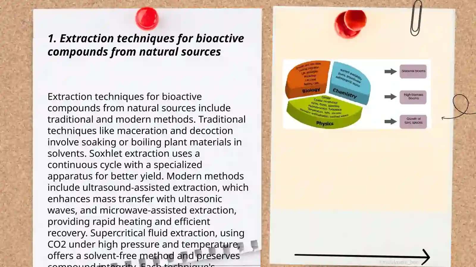 Biologically Active Substances in Food Industry 3