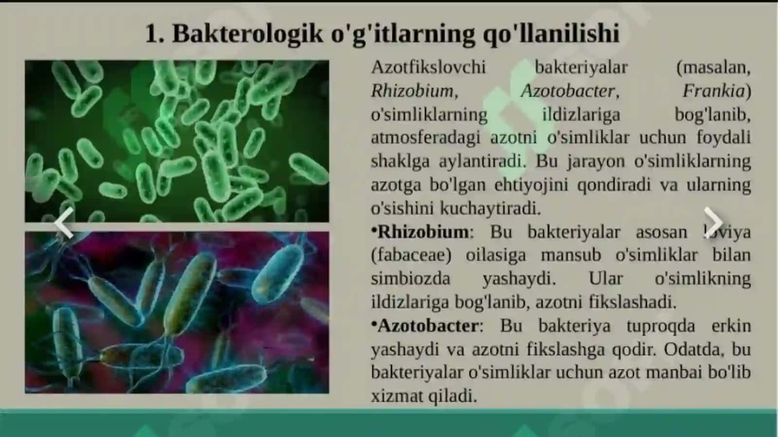Tuproq unumdorligi oshirish 3