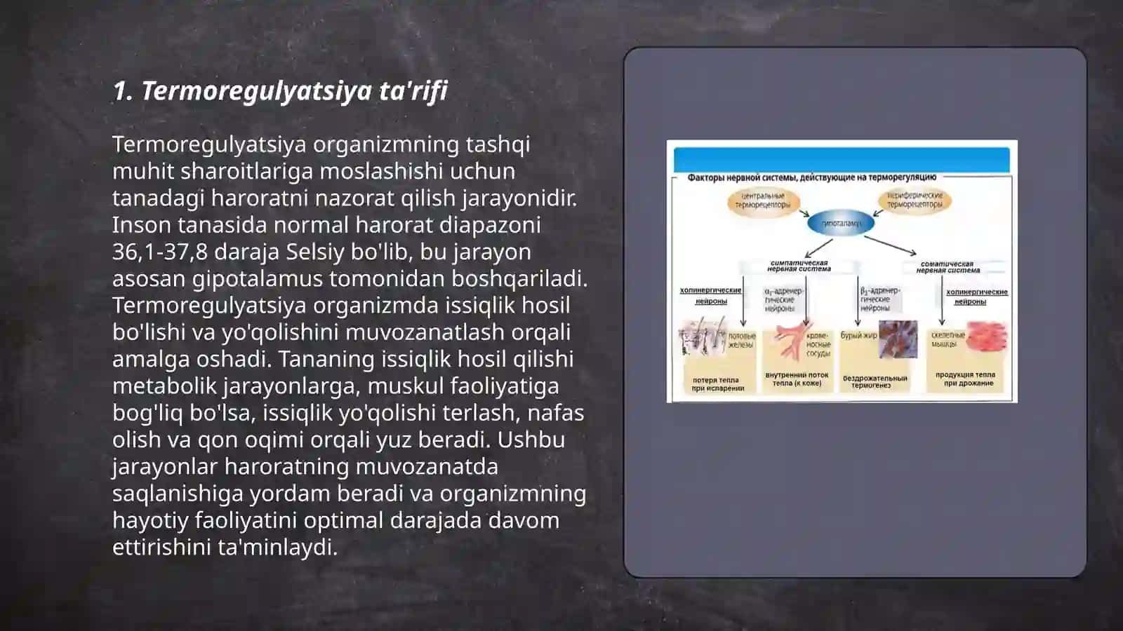 Termoregulyatsiya etiologiyasi 3