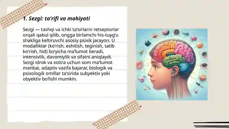 Sezgi 3