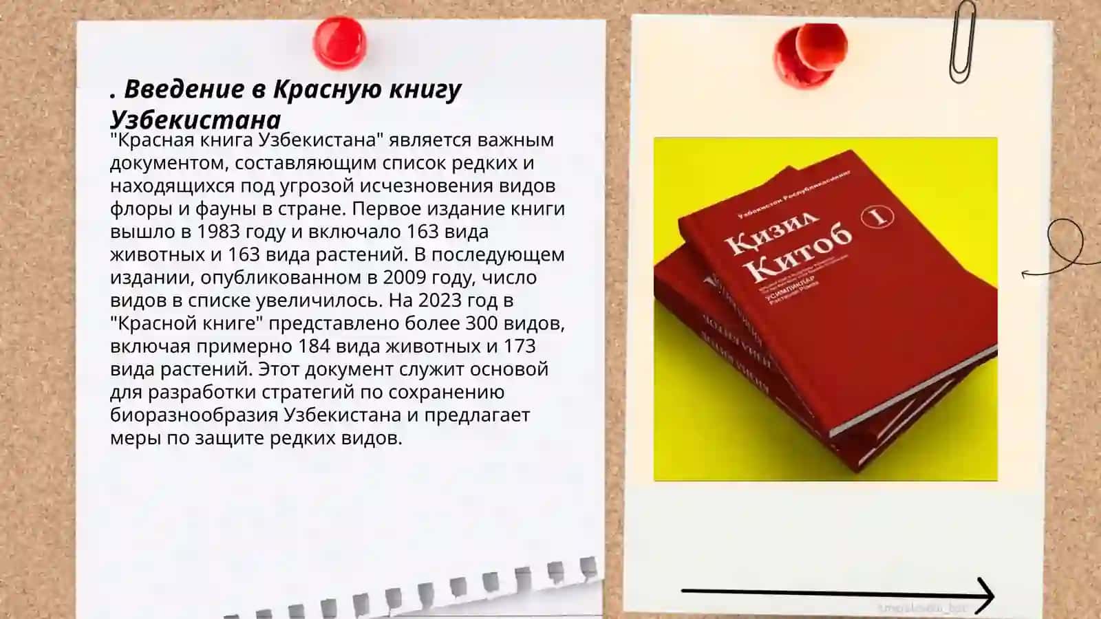 Красная книга Узбекистана 3