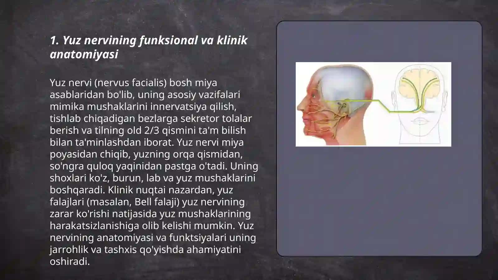 VII juft bosh miya nervining funksional va klinik anatomiyasi: o‘zaklari, yuz nervi kanali. Quloq oldi nerv chigali. Uch shohli nerv va yuz nervi bilan o‘zaro anastomozlari. Kichik va katta so‘lak bezlarining innervatsiyasi 3