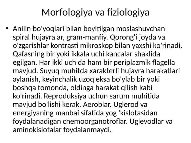 LEPTOSPIROZLAR 3