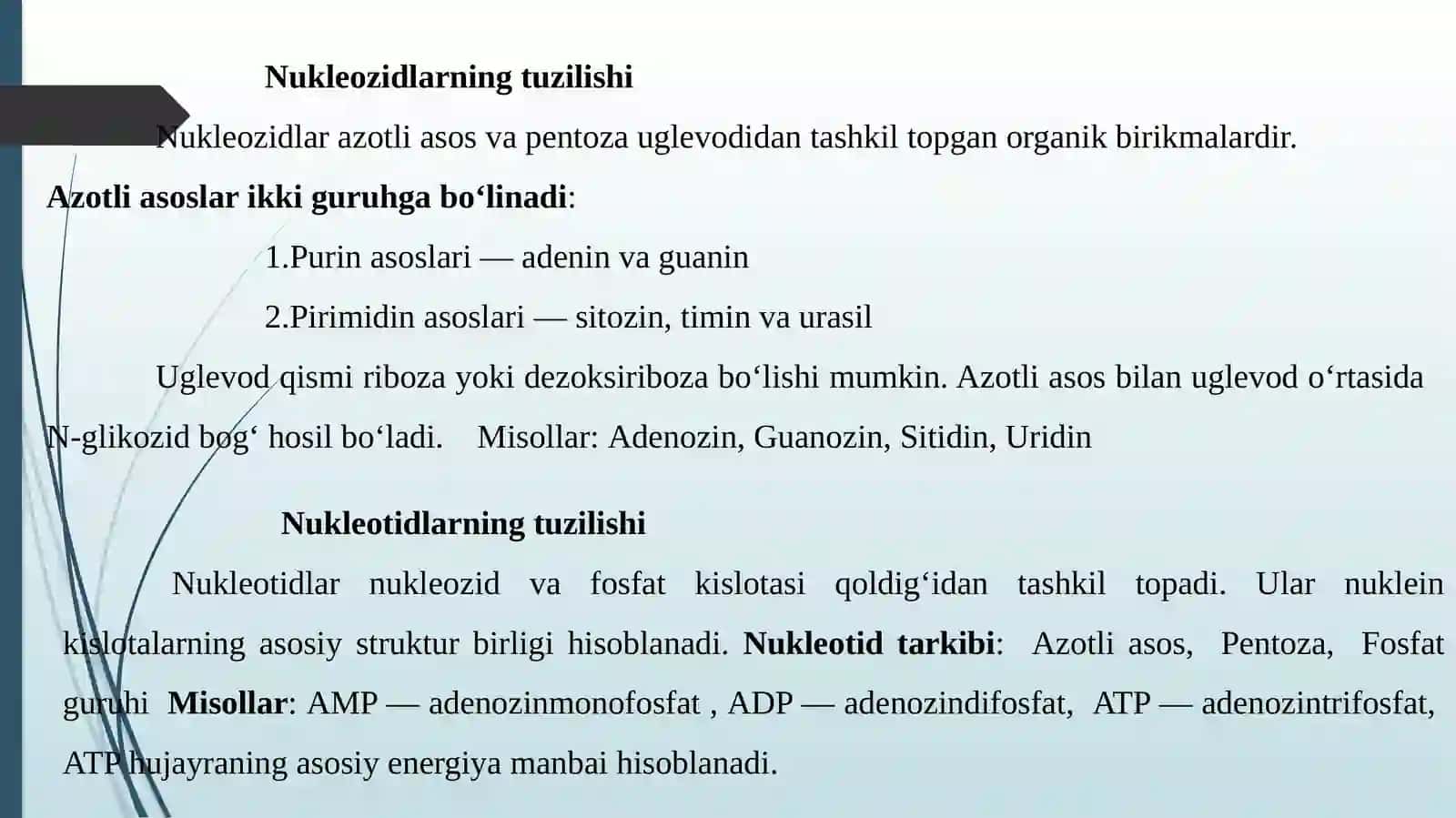 Nukleozidlar va Nukleotidlar 3