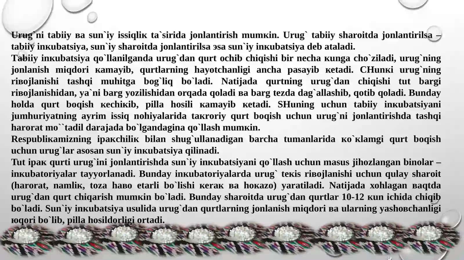 Ipakqurtiurug'i nijonlantirish usullari va jonlangan qurtlarni tarqatish tartibi 3