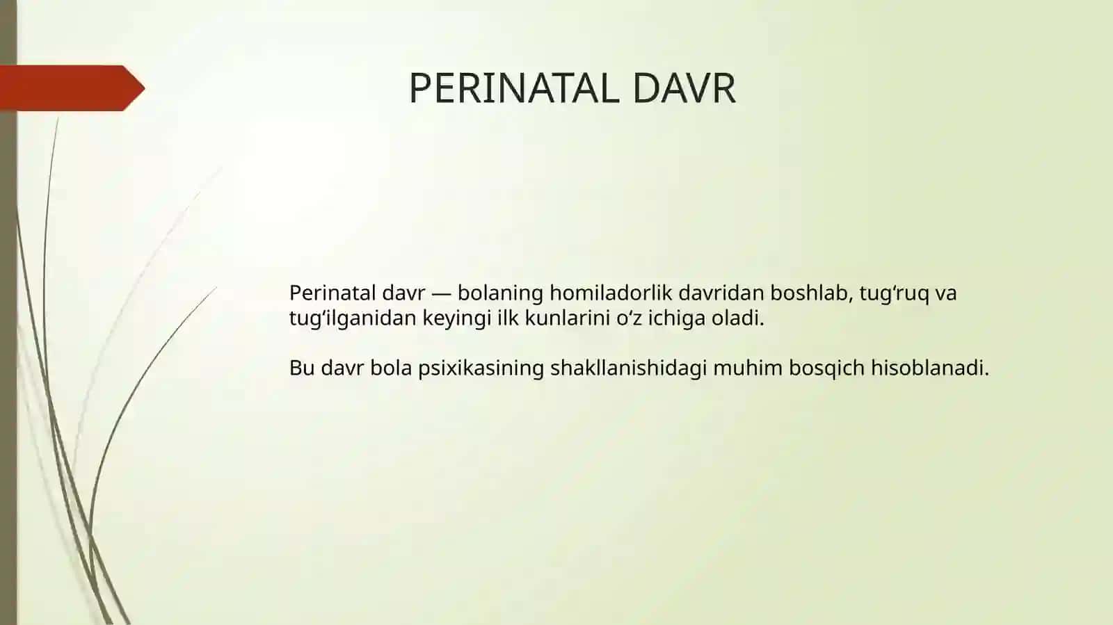 PERINATAL DAVR 3