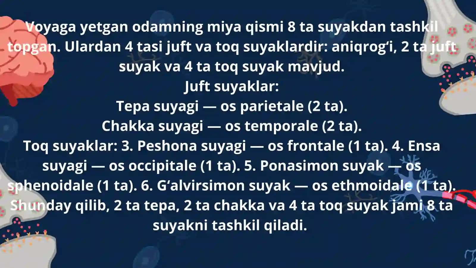 kalla suyagining miya qismi 3