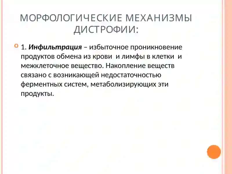 ДИСТРОФИЯ 3