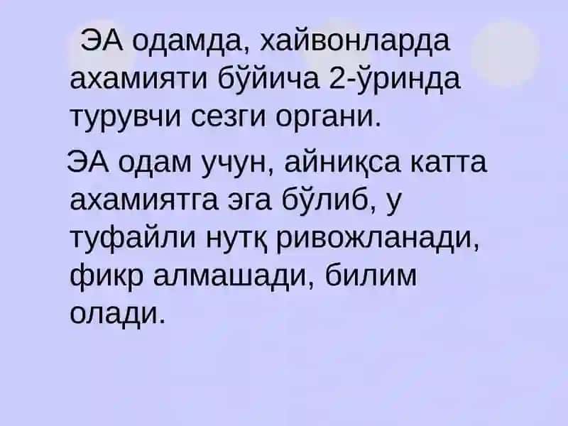 Эшитув ва вестибуляр анализаторларининг физиологияси 3