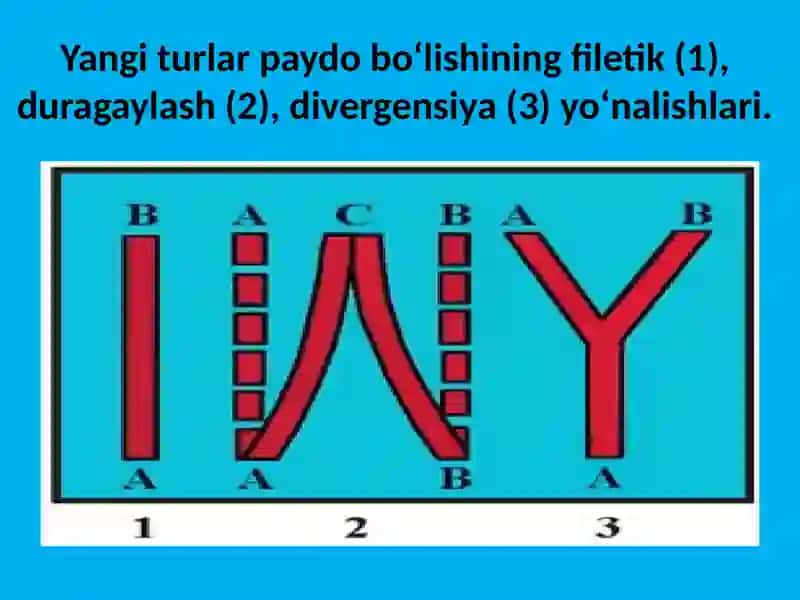 TURLARNING PAYDO BO‘LISHI 3