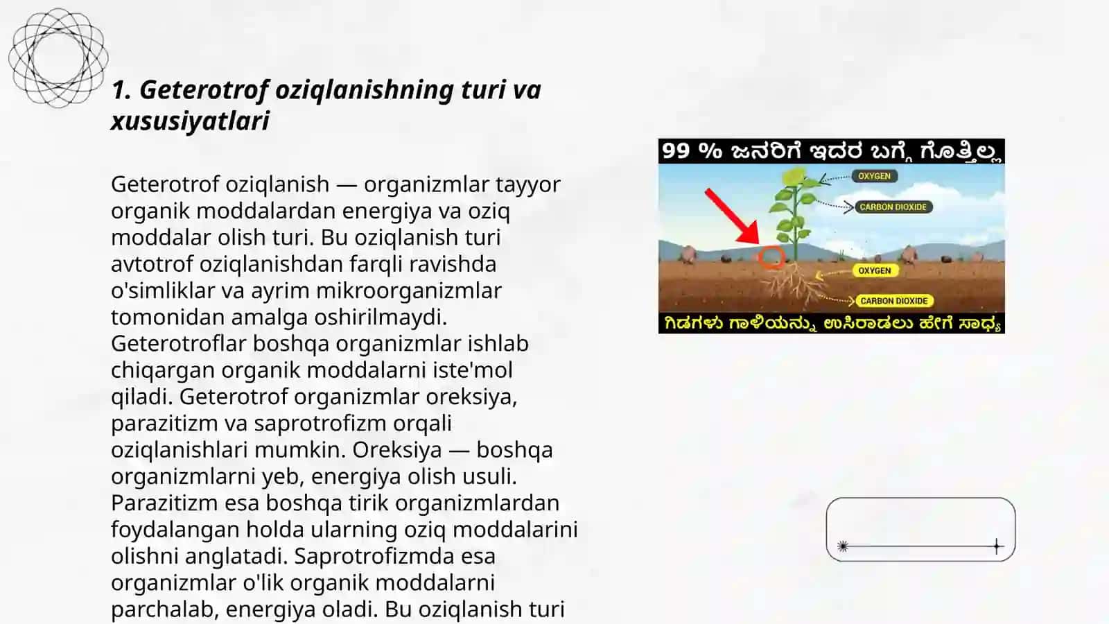 O'simliklarni geterotrof oziqlanish usullari 3