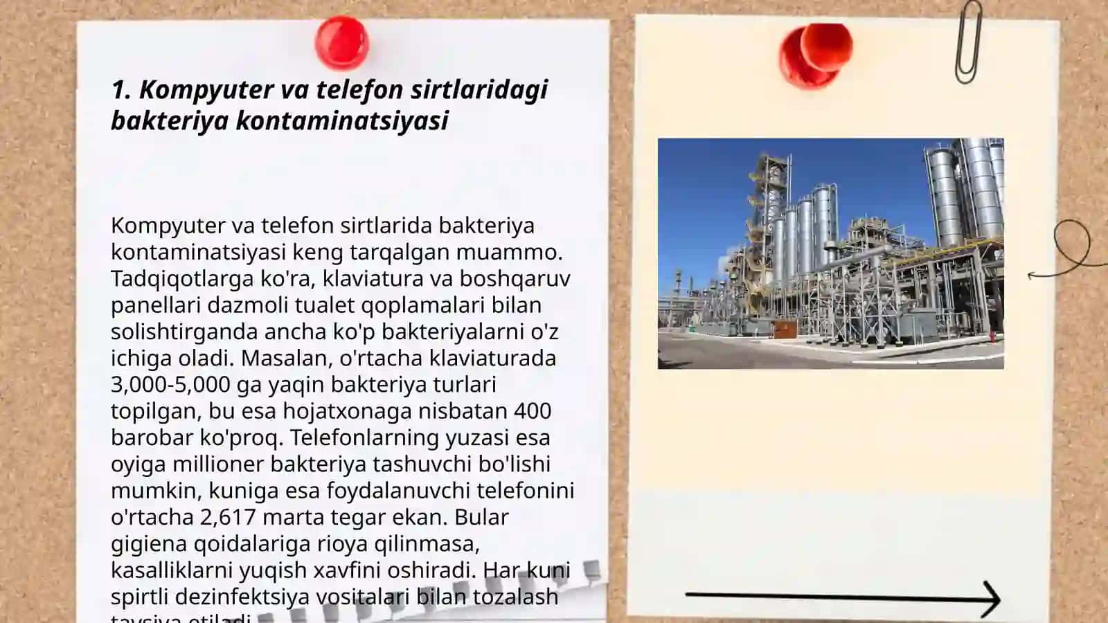 Komputer va telefonlarning bakterial kontaminasiyasi 3