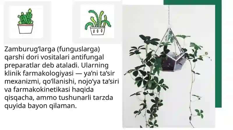 Zambrugʻlarga qarshi dori vositalarining klinik farmakologiyasi 3