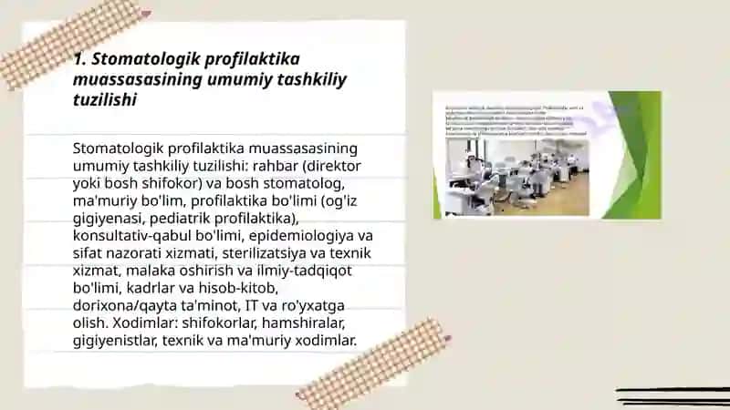 Stomatologik profilaktika muassasasining tashkiliy tuzilishi 3