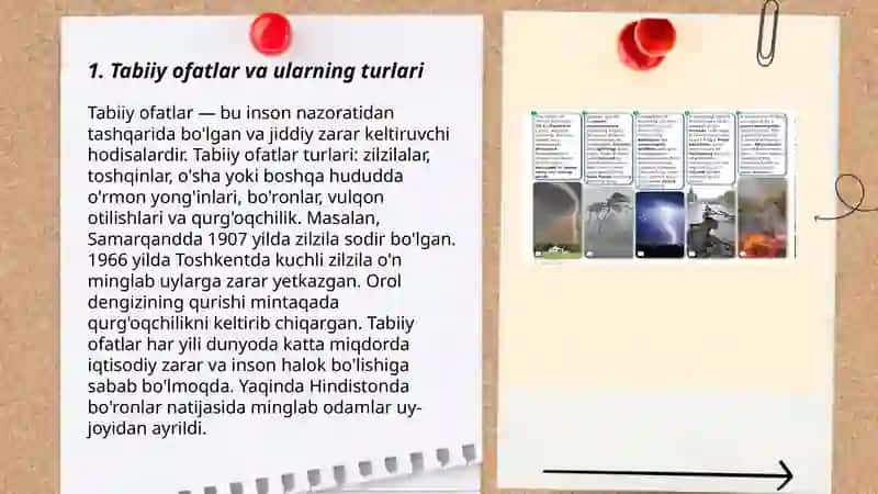 Tabiiy ofatlar va ularning ekologik oqibatlari 3