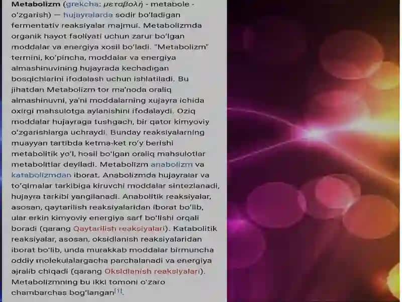 Metabolizm 3
