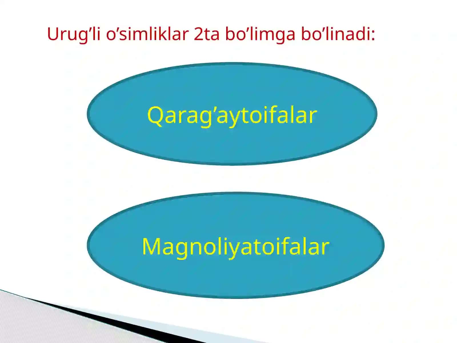 Biologiya yo’nalish 201-guruh talabasi Rustamova Hafiza 3