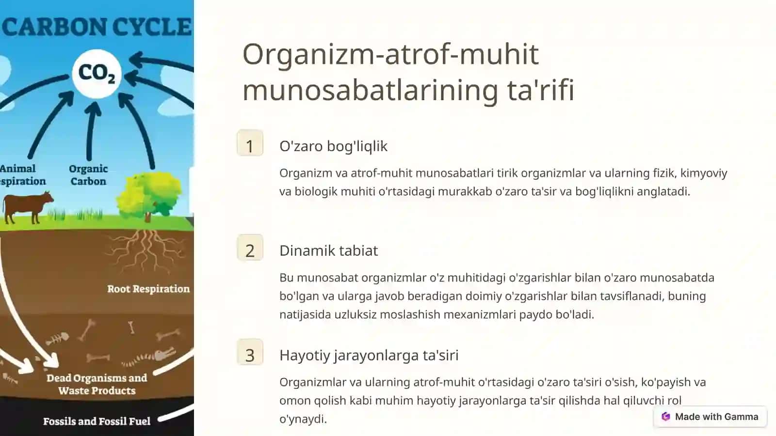Organizm va atrof-muhit munosabatlariga kirish 3