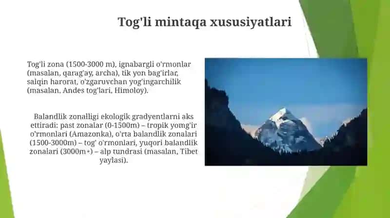 Materiklar shakllangan balandlik mintaqalari 3