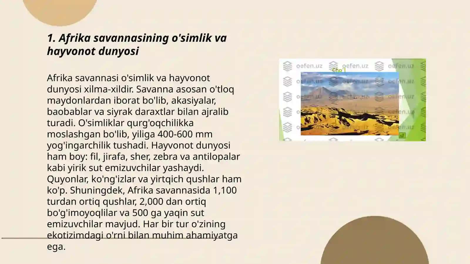 Afrika va Janubiy Amirikani tabiat mintaqalari o‘simligi va xayvonot dunyosi 3