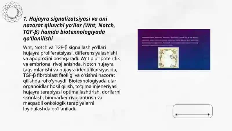 Hujayra va toʻqima darajasidagi jarayonlar va uning zamonaviy biotexnologiyadagi oʻrni 3